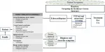 Draft systems map of the early diagnosis of cardiac amyloidosis.