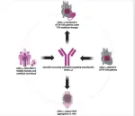 amyloidosis